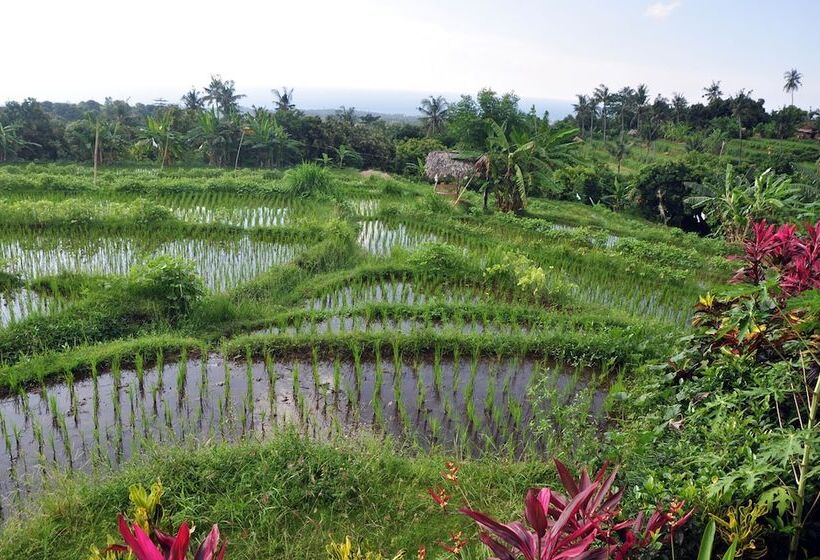 ホテル Puri Mangga Sea View Resort & Spa