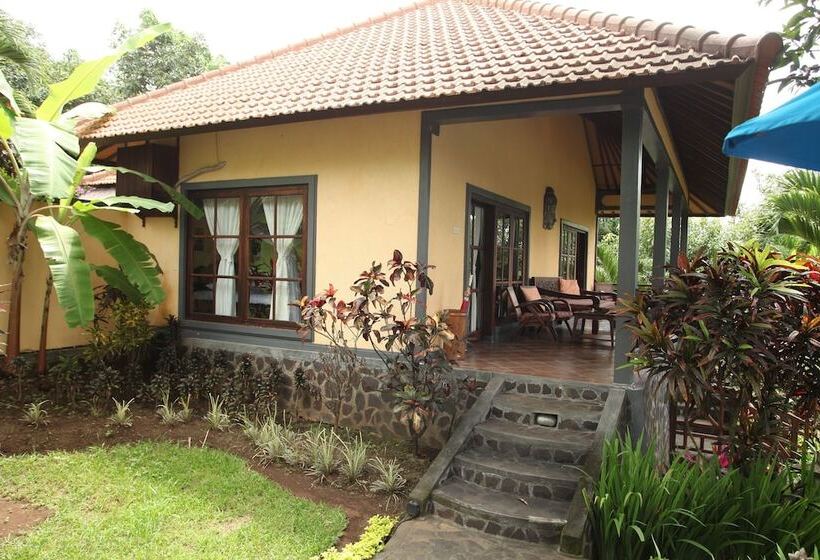 ホテル Puri Mangga Sea View Resort & Spa