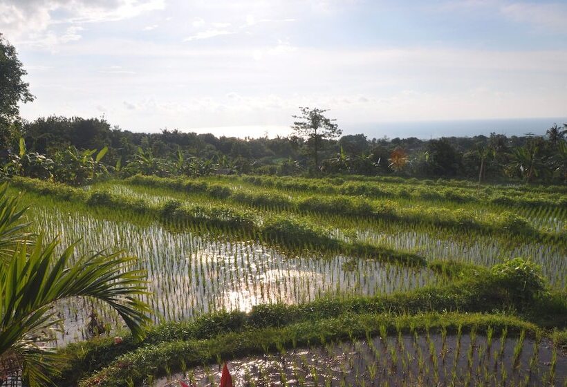 ホテル Puri Mangga Sea View Resort & Spa