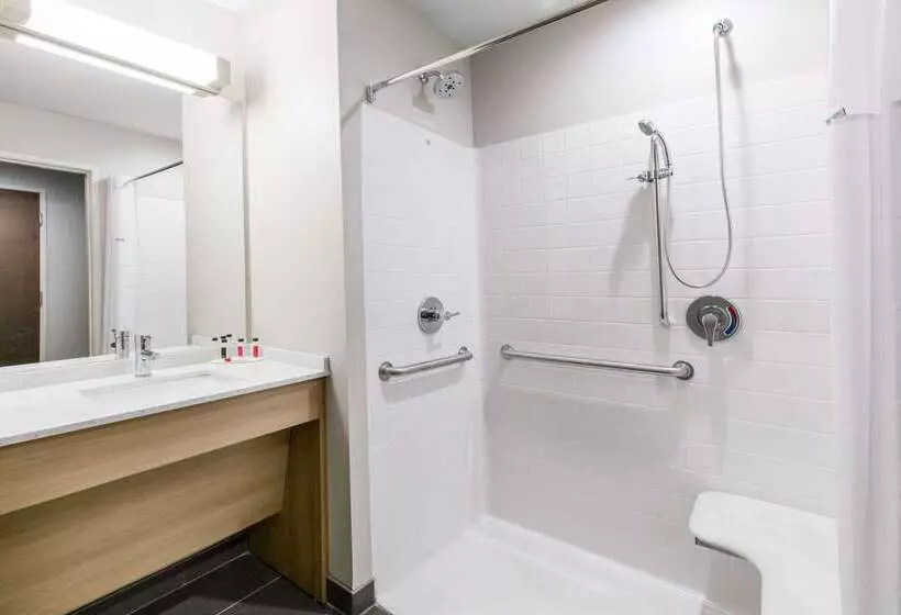 Microtel Inn & Suites By Wyndham Lubbock