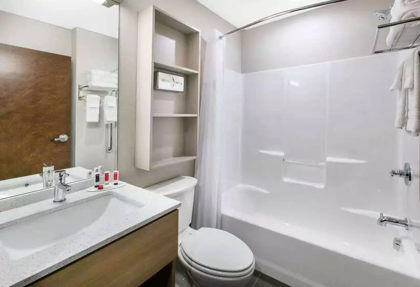 Microtel Inn & Suites By Wyndham Lubbock