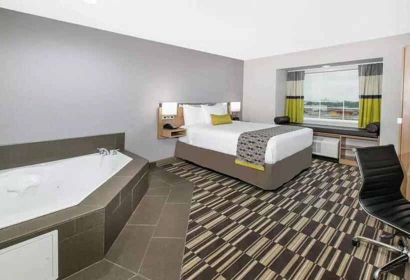 Microtel Inn & Suites By Wyndham Lubbock