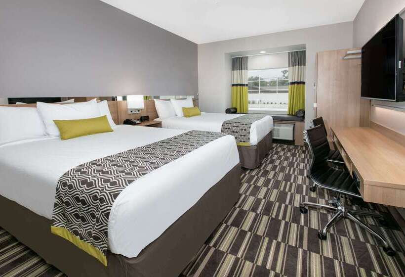 Microtel Inn & Suites By Wyndham Lubbock