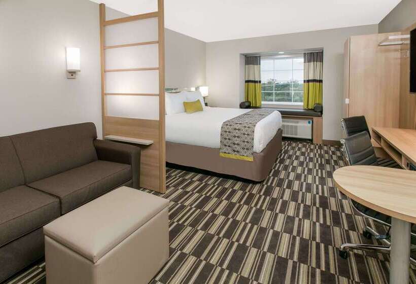 Microtel Inn & Suites By Wyndham Lubbock