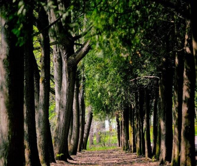 Park Hotel Vozdvizhenskoe