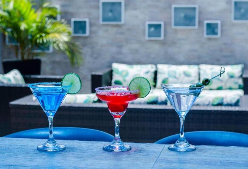 בית מלון כפרי Laureles Plaza