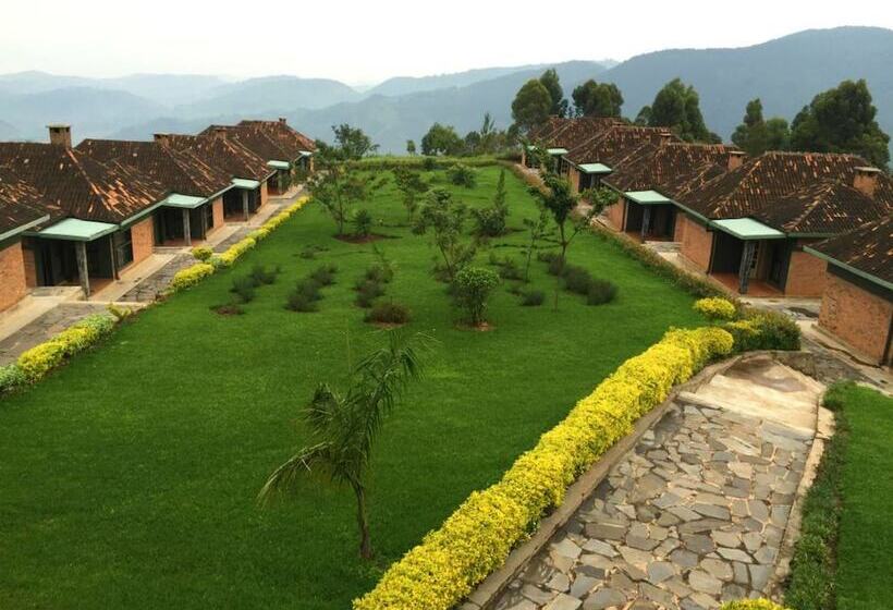هتل Nyungwe Top View