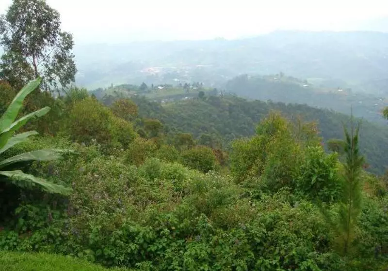 هتل Nyungwe Top View