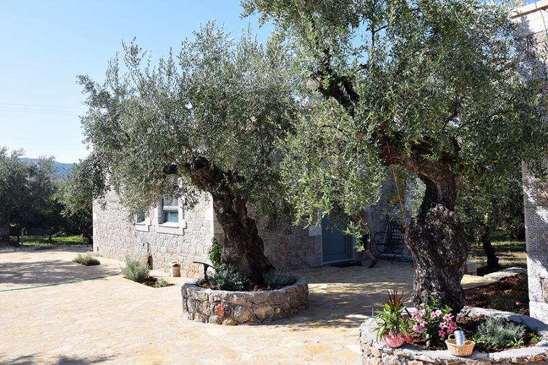 Kastro Traditional Villas