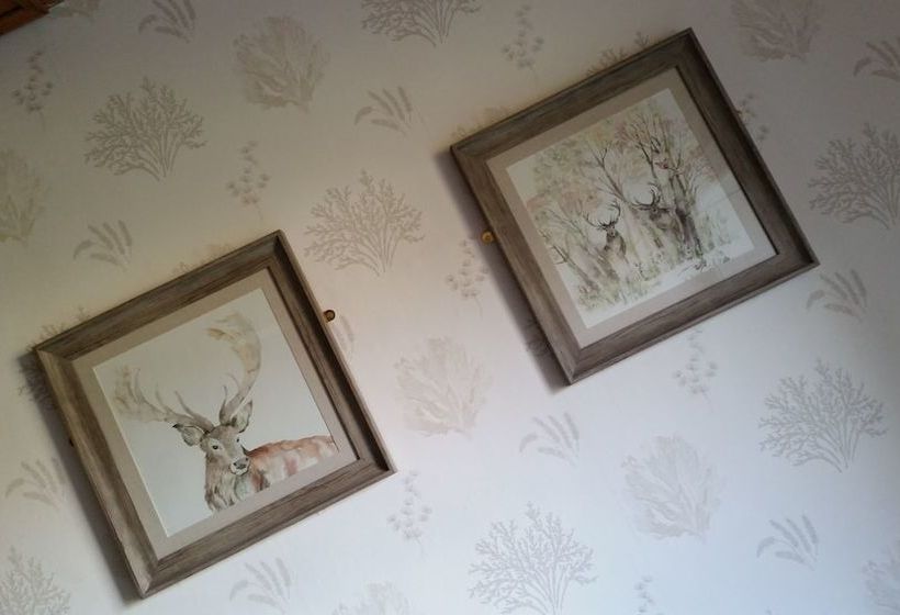 Ardmore Country House B&b