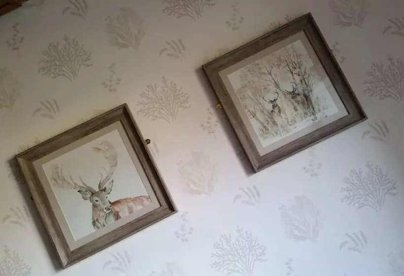 Ardmore Country House B&b