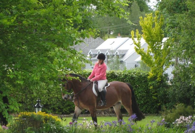 Ardmore Country House B&b