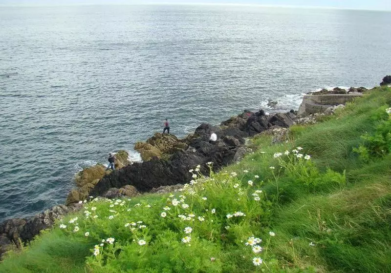 Aamiaismajoitus (B&B) Fern Hill Guest House