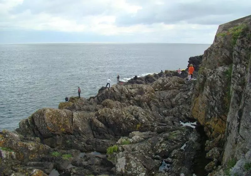 Aamiaismajoitus (B&B) Fern Hill Guest House