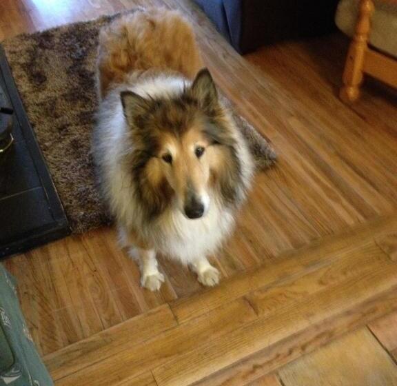 Bed and Breakfast Inisean Ocean View