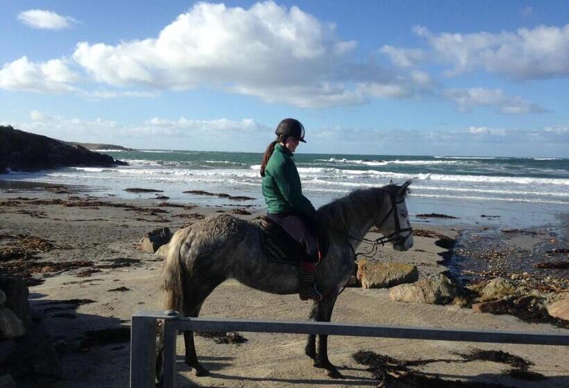 Bed and Breakfast Inisean Ocean View