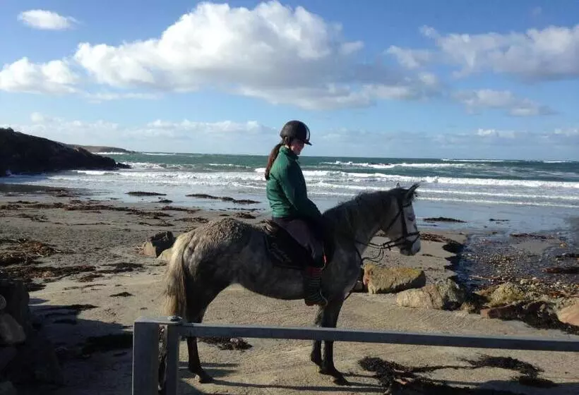 تختخواب و صبحانه Inisean Ocean View