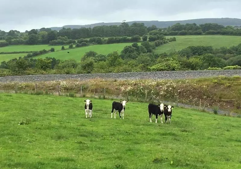 ベッドアンドブレックファースト Reades Farmhouse