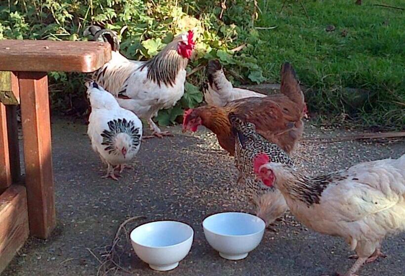 Bed and Breakfast Seafield Farmhouse