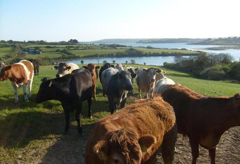Bed and Breakfast Seafield Farmhouse