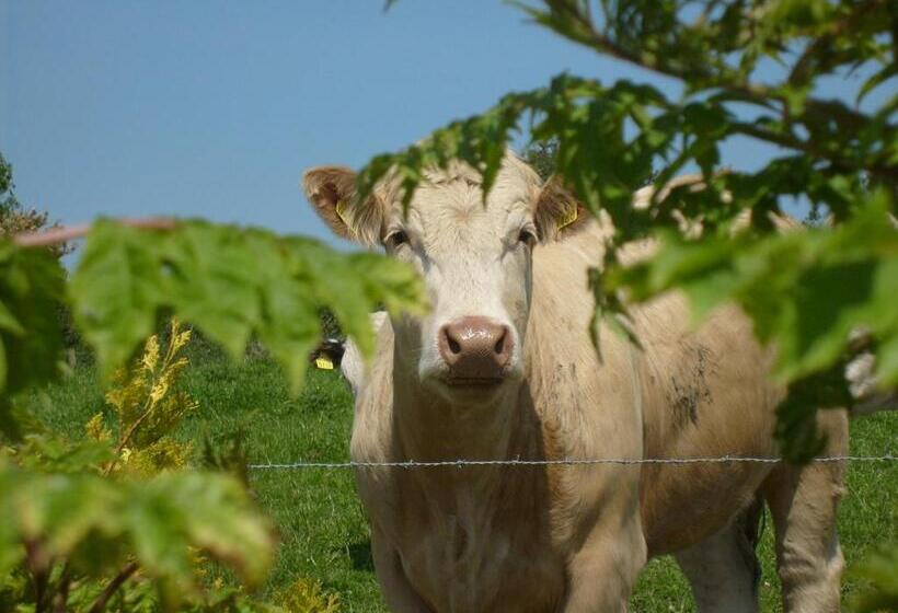 Bed and Breakfast Seafield Farmhouse
