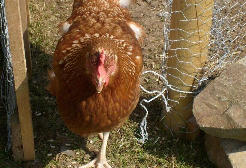 Bed and Breakfast Seafield Farmhouse