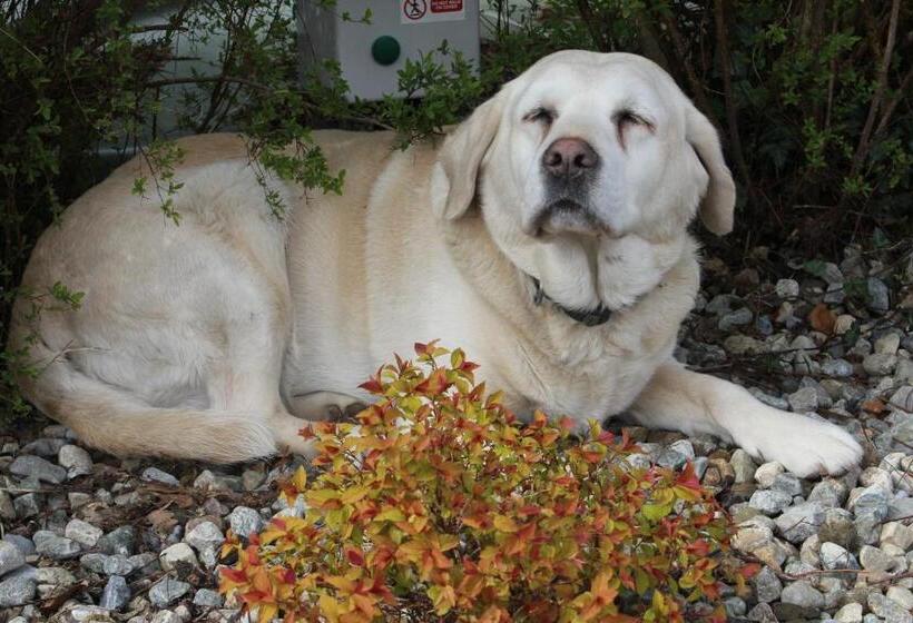 Carrowntober House B & B