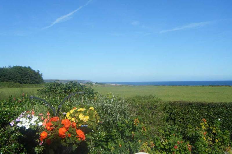 Cush Bed And Breakfast