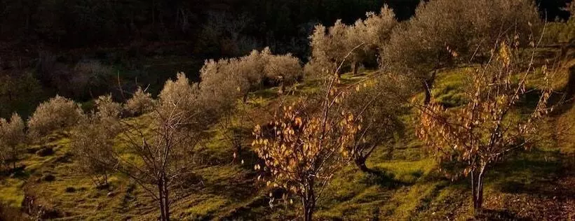 Hotelli Akassa Alojamientos Bioclimáticos