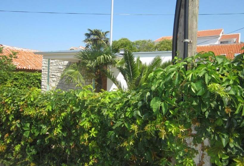 ホテル Rooms By The Sea Zadar Diklo, Zadar 5920