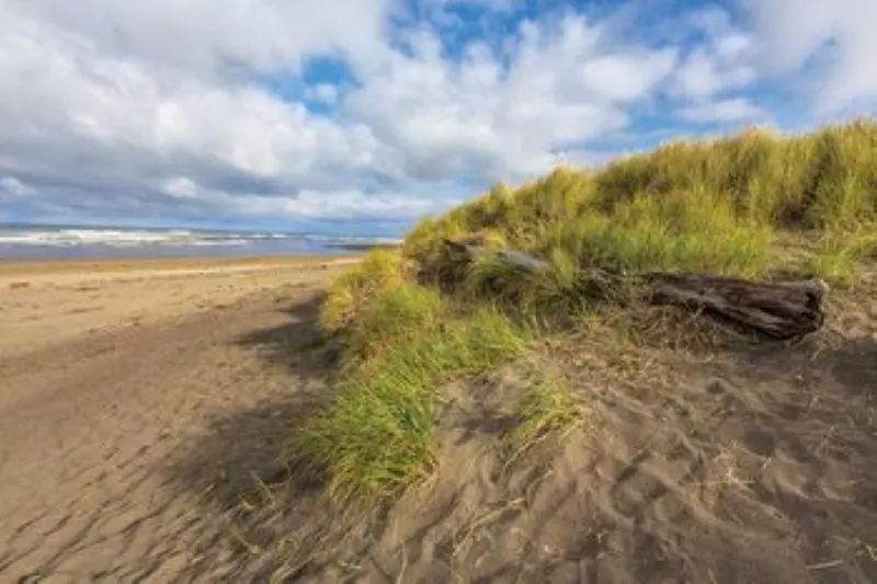 ホテル Worldmark Mariner Village