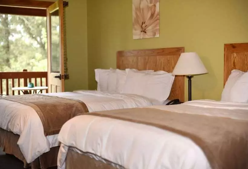 Hotelli Champions Black Bear Lodge