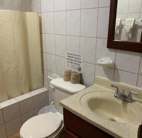 هتل Panchos Villas