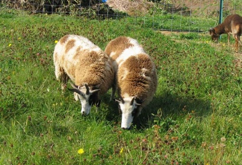 فندق Three Pines Bed And Breakfast