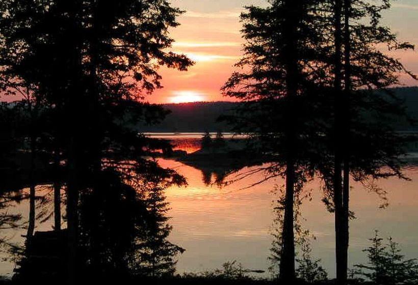 فندق Three Pines Bed And Breakfast