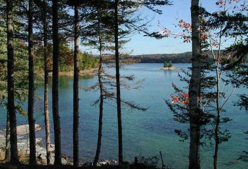 فندق Three Pines Bed And Breakfast