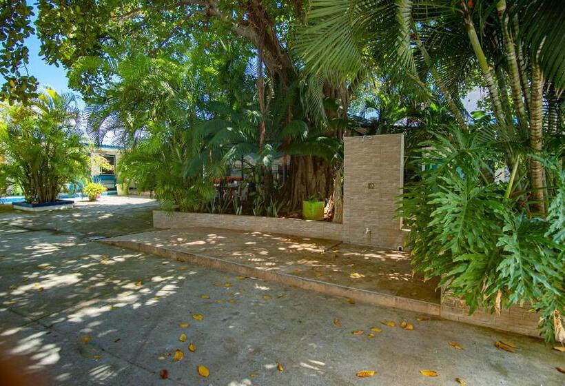 Отель Alojamiento San Martín