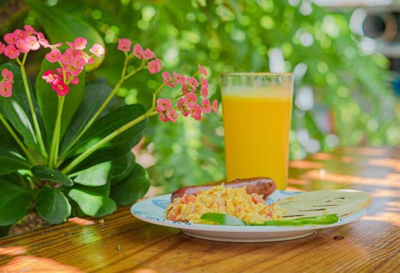 Отель Alojamiento San Martín