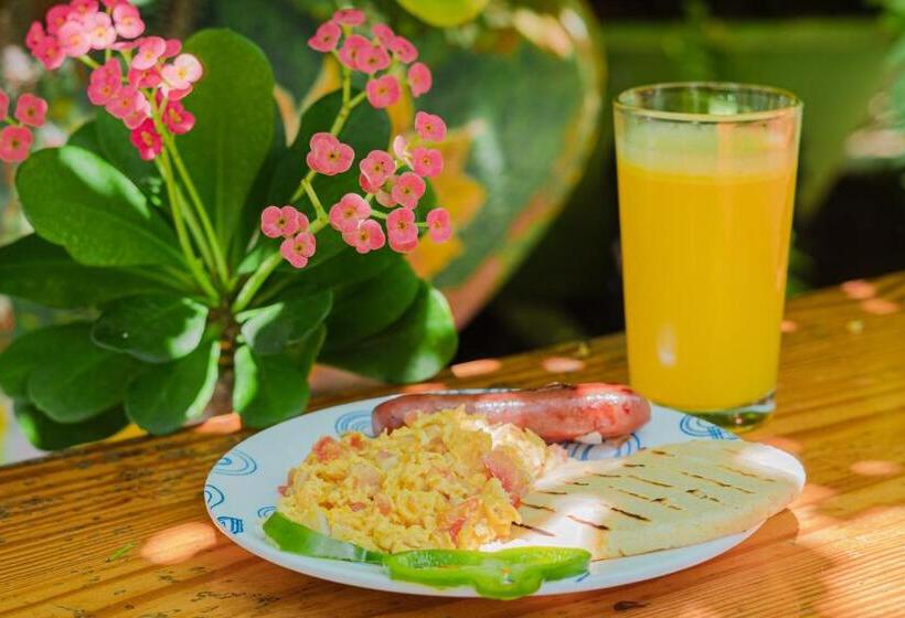 Отель Alojamiento San Martín