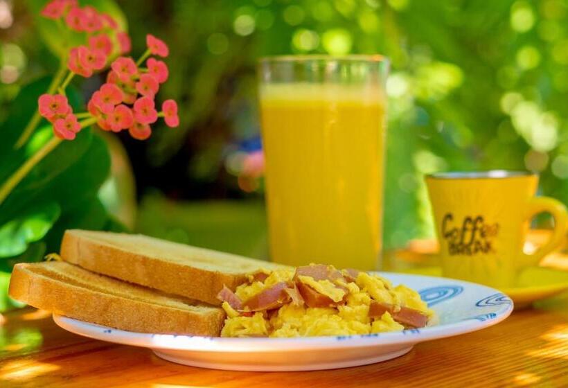 Отель Alojamiento San Martín