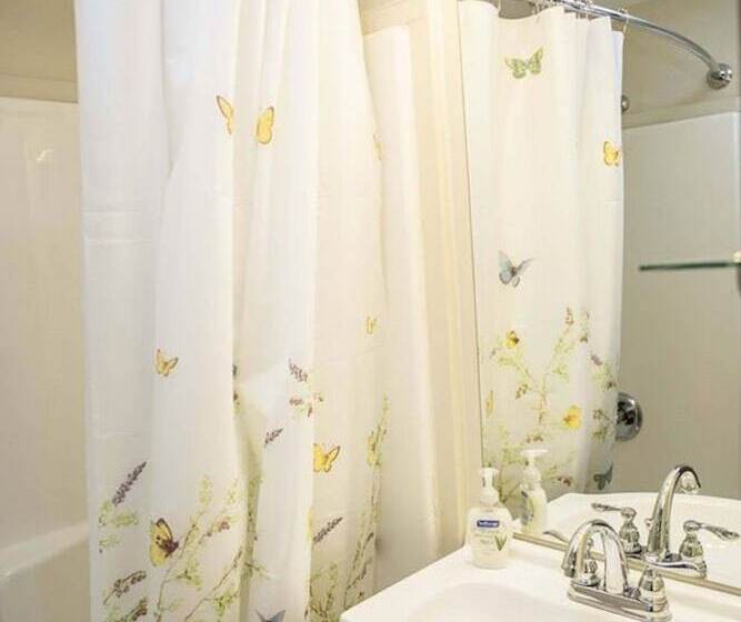 酒店 Brook Trout Inn