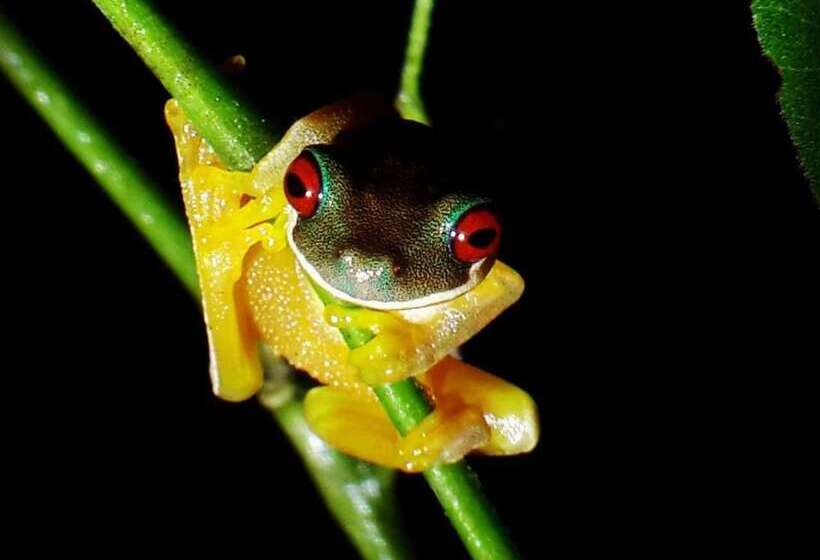 호텔 Casa Campo Verde