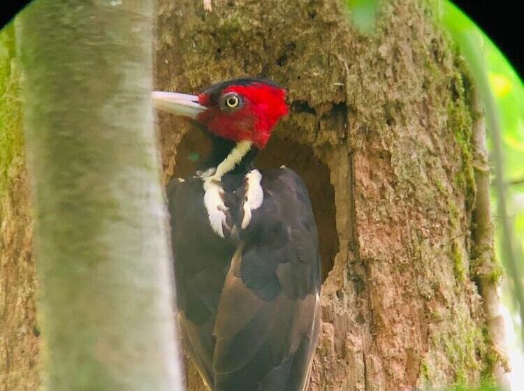 호텔 Casa Campo Verde