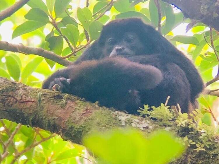 호텔 Casa Campo Verde