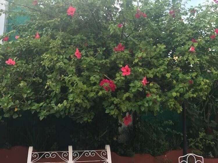 בית מלון כפרי Casa La Granja