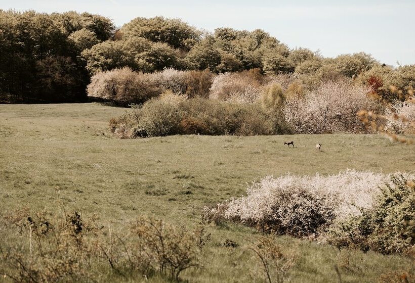 Hotel Nordly Vandrerhjem