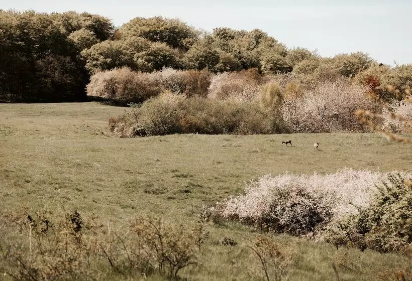 Hotelli Nordly Vandrerhjem