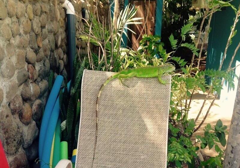 هتل Tamarindo Village