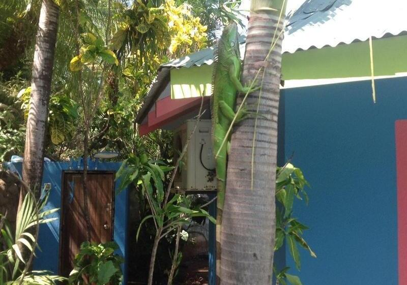 هتل Tamarindo Village