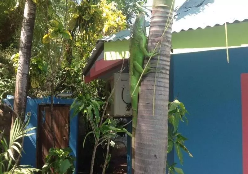 هتل Tamarindo Village